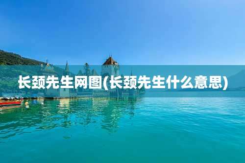 长颈先生网图(长颈先生什么意思)