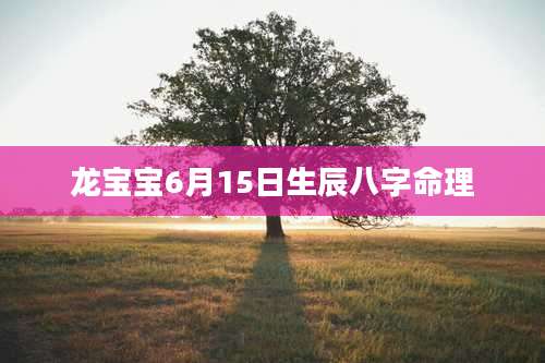 龙宝宝6月15日生辰八字命理