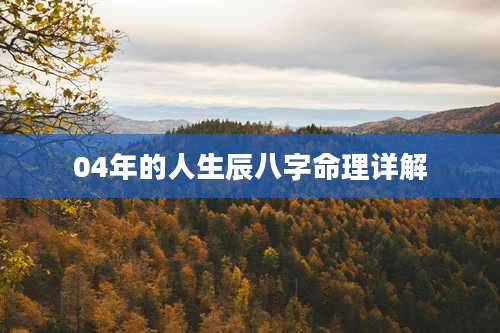 04年的人生辰八字命理详解