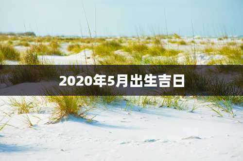 2020年5月出生吉日