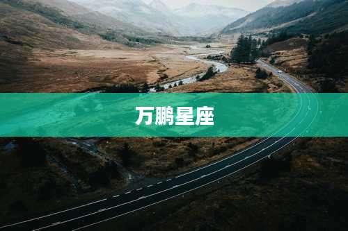万鹏星座