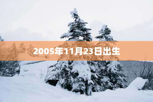 2005年11月23日出生