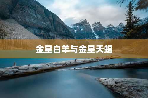 金星白羊与金星天蝎