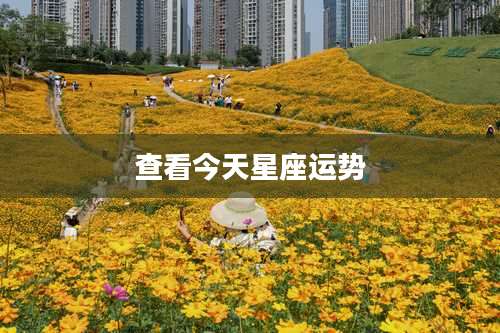 查看今天星座运势
