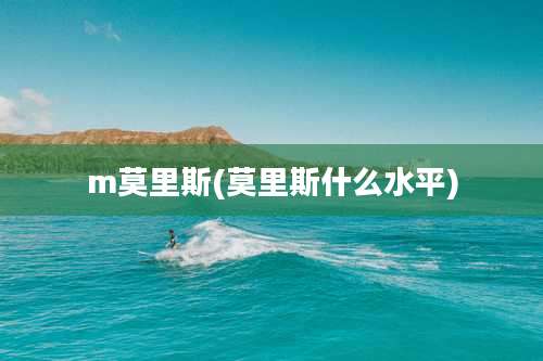 m莫里斯(莫里斯什么水平)