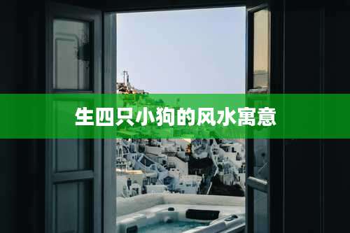 生四只小狗的风水寓意