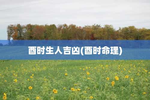 酉时生人吉凶(酉时命理)