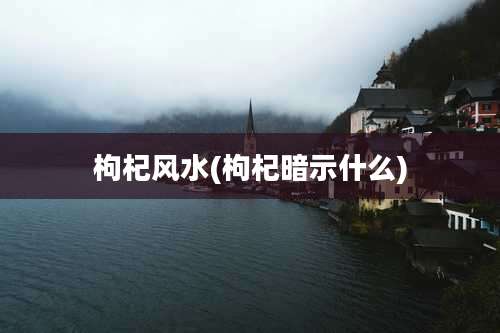 枸杞风水(枸杞暗示什么)