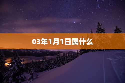 03年1月1日属什么