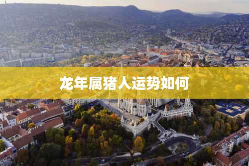 龙年属猪人运势如何