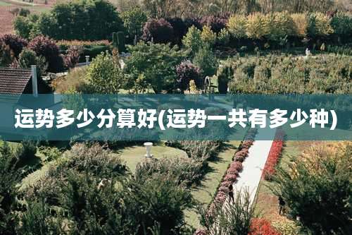 运势多少分算好(运势一共有多少种)