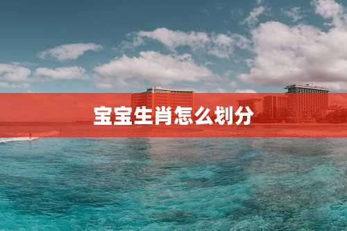 宝宝生肖怎么划分