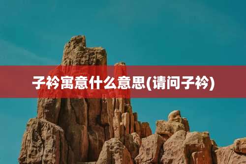 子衿寓意什么意思(请问子衿)