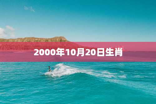 2000年10月20日生肖