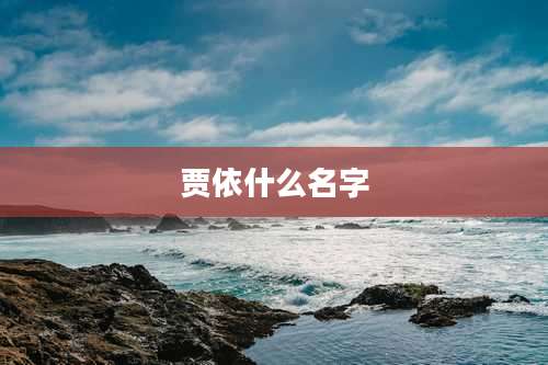 贾依什么名字