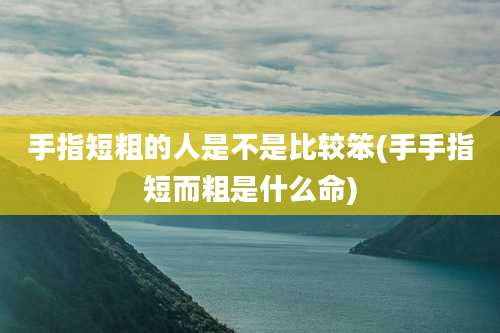 手指短粗的人是不是比较笨(手手指短而粗是什么命)