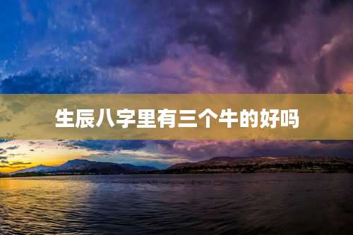 生辰八字里有三个牛的好吗