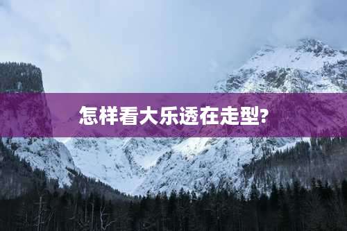 怎样看大乐透在走型?