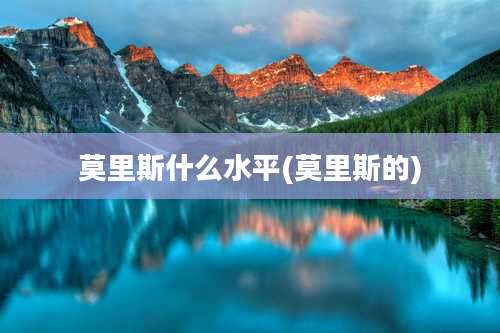 莫里斯什么水平(莫里斯的)