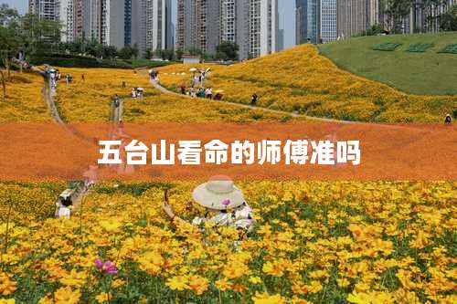 五台山看命的师傅准吗