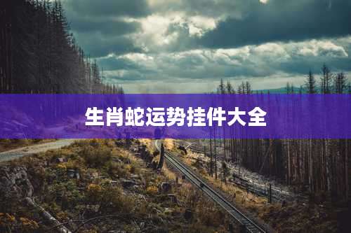 生肖蛇运势挂件大全