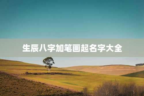 生辰八字加笔画起名字大全