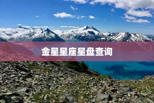 金星星座星盘查询