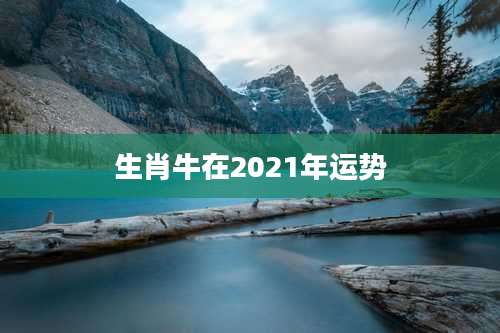 生肖牛在2021年运势