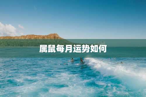 属鼠每月运势如何