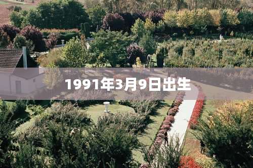 1991年3月9日出生