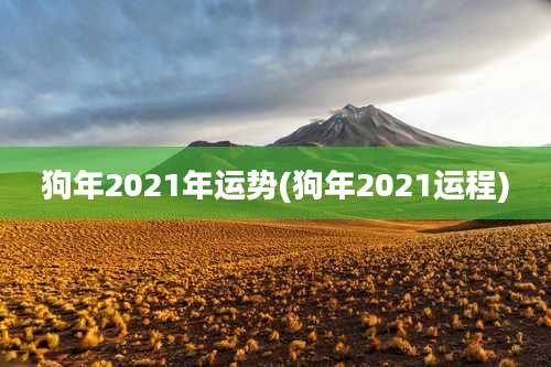 狗年2021年运势(狗年2021运程)