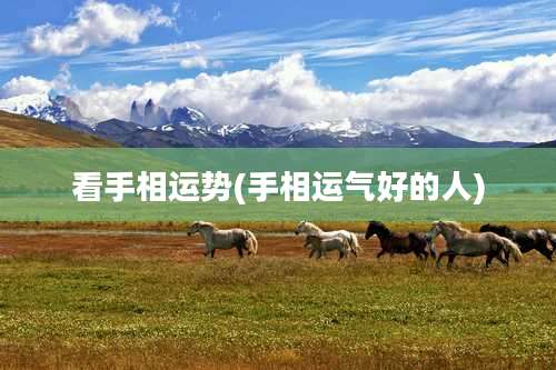 看手相运势(手相运气好的人)