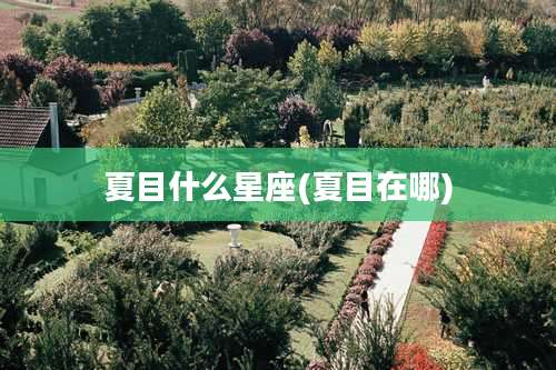 夏目什么星座(夏目在哪)