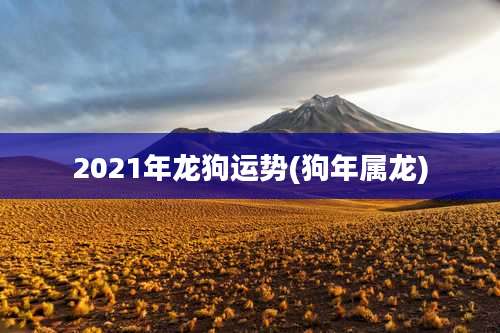 2021年龙狗运势(狗年属龙)