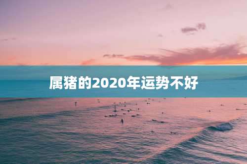 属猪的2020年运势不好