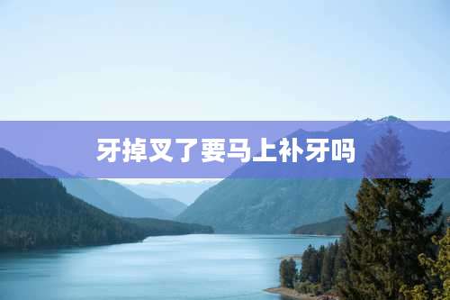 牙掉叉了要马上补牙吗