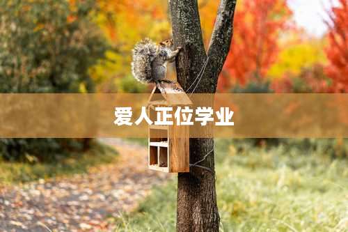爱人正位学业