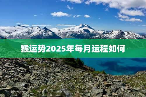 猴运势2025年每月运程如何
