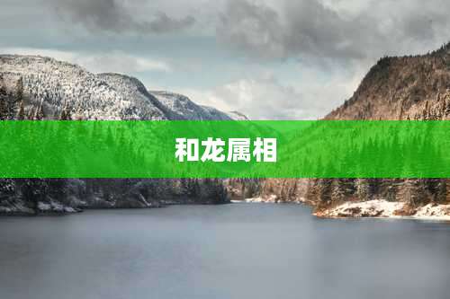和龙属相