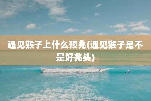 遇见猴子上什么预兆(遇见猴子是不是好兆头)