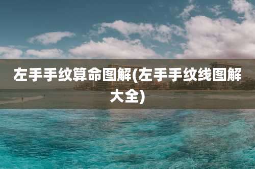 左手手纹算命图解(左手手纹线图解大全)