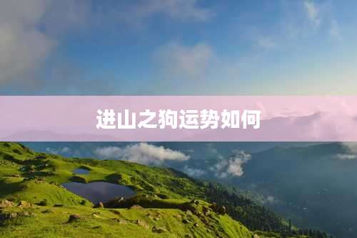 进山之狗运势如何