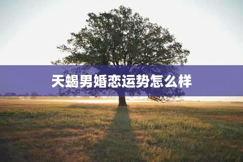天蝎男婚恋运势怎么样