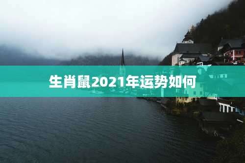 生肖鼠2021年运势如何