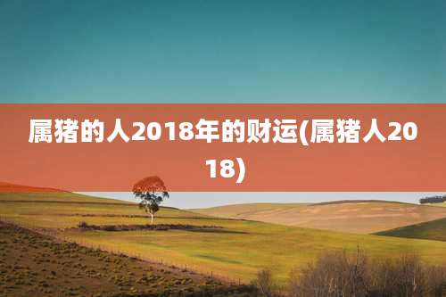 属猪的人2018年的财运(属猪人2018)