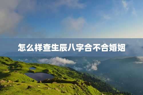 怎么样查生辰八字合不合婚姻