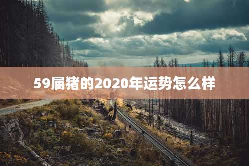 59属猪的2020年运势怎么样
