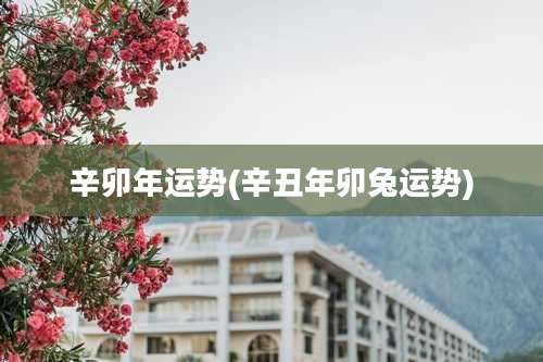 辛卯年运势(辛丑年卯兔运势)