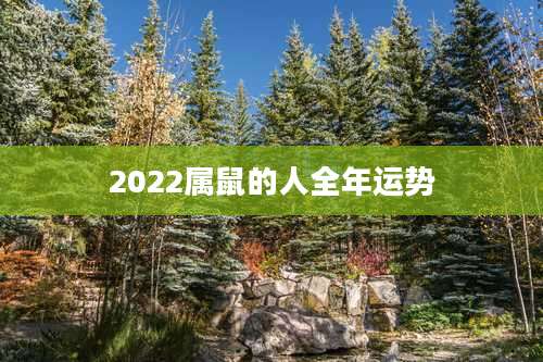 2022属鼠的人全年运势