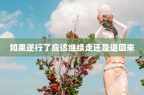 如果逆行了应该继续走还是退回来